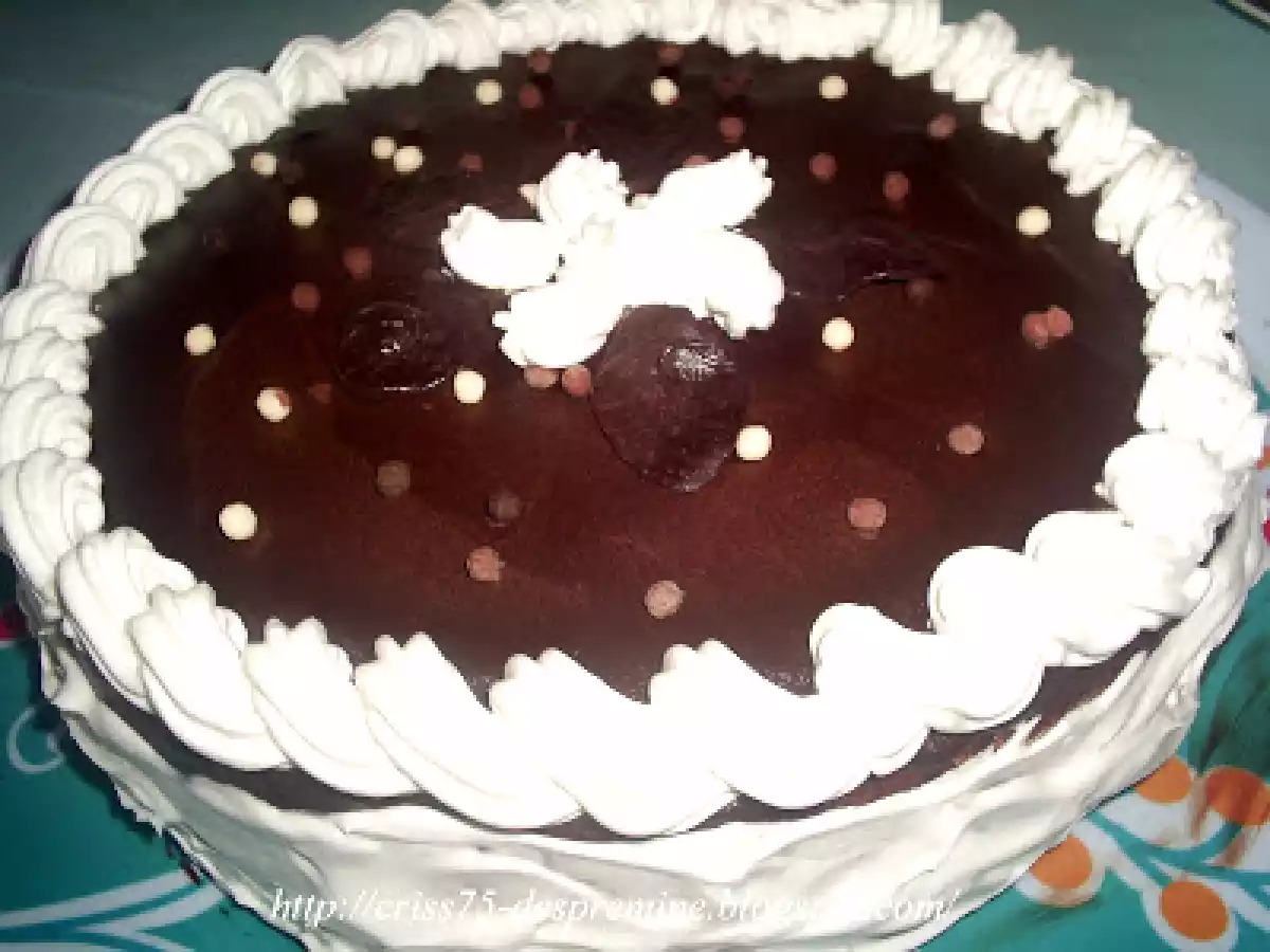 Tort cu mousse de menta si mousse de ciocolata - poza 8