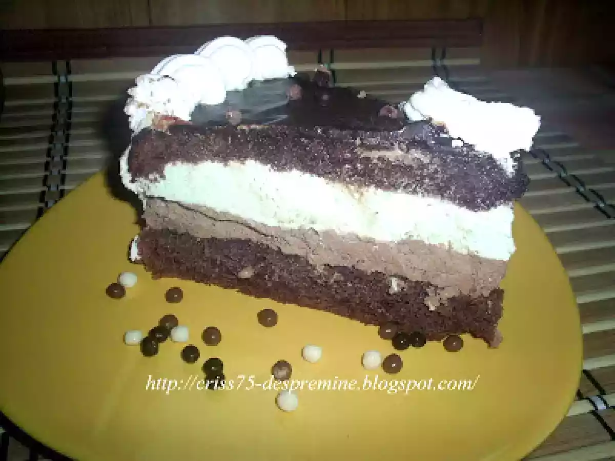 Tort cu mousse de menta si mousse de ciocolata - poza 11