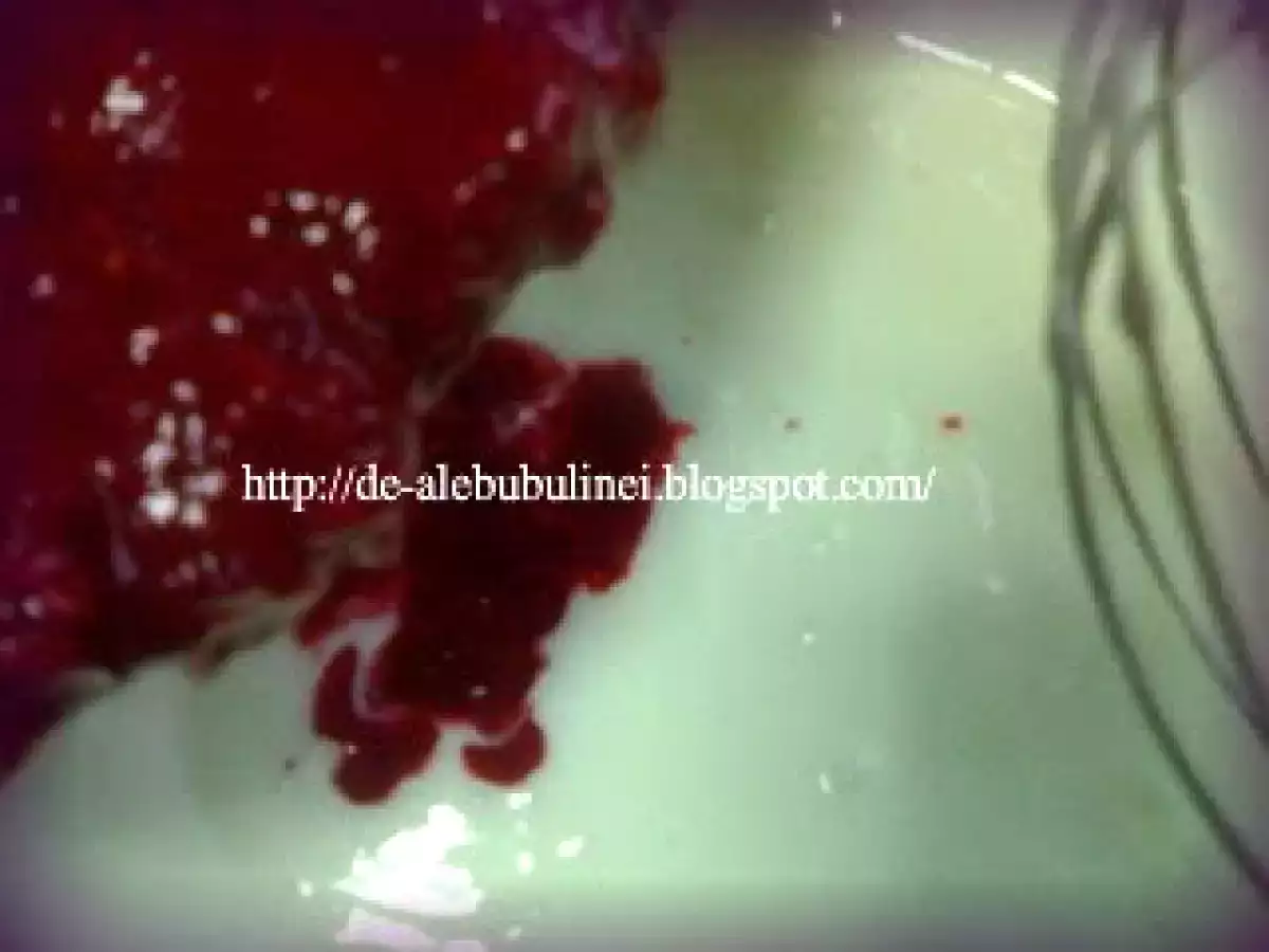 Tort cu zmeur si visine, si blat cu nuci - poza 3