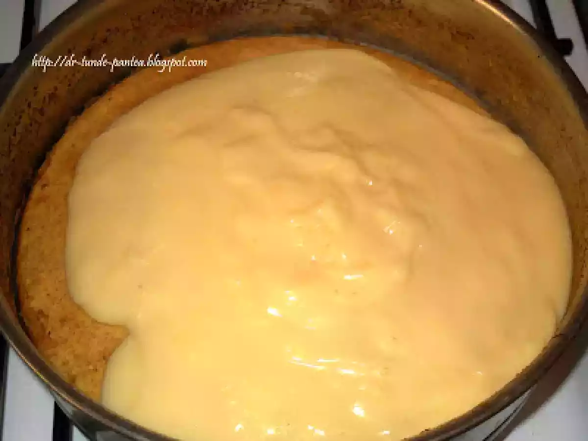 Tort de fructe dietetic - poza 8