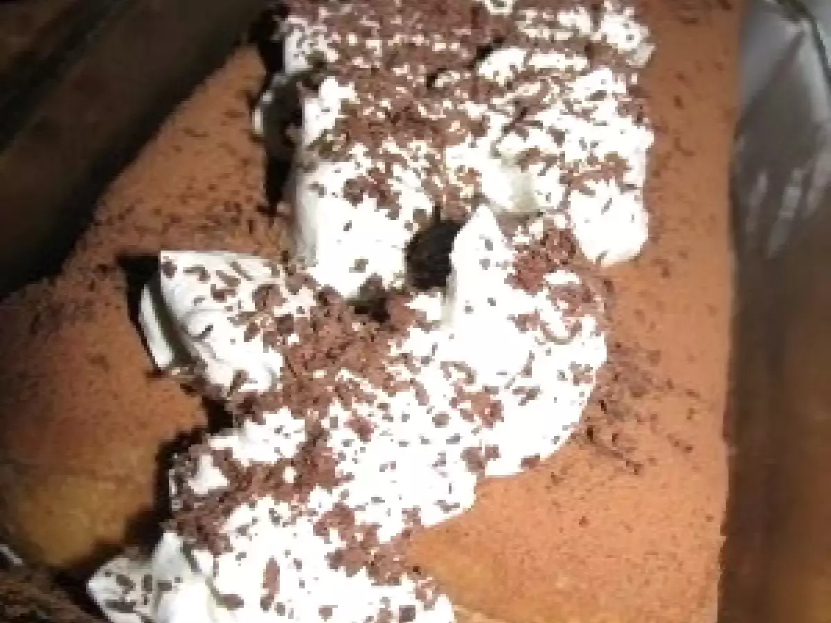 Tort de inghetata Tiramisu - poza 9