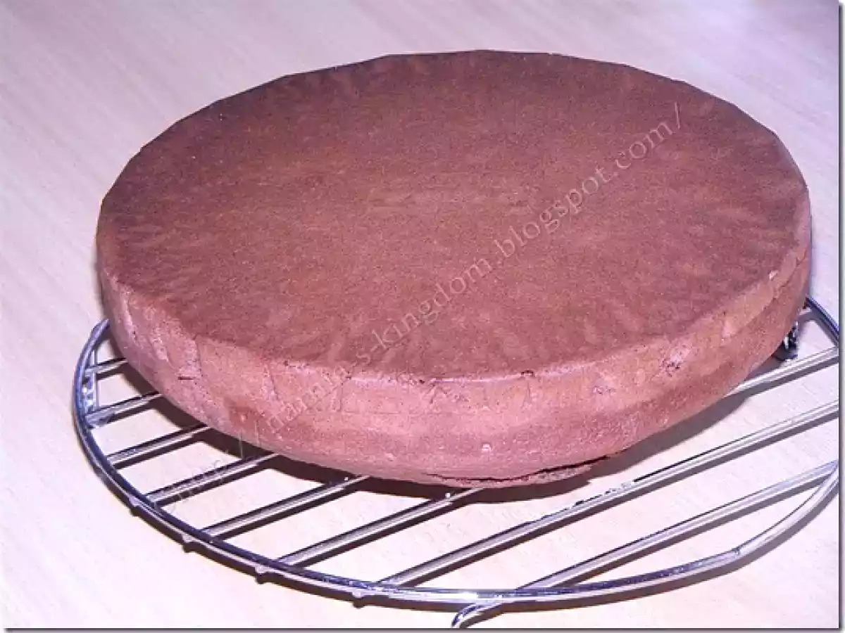 Tort Foret Noire ( Padurea Neagra) - poza 7