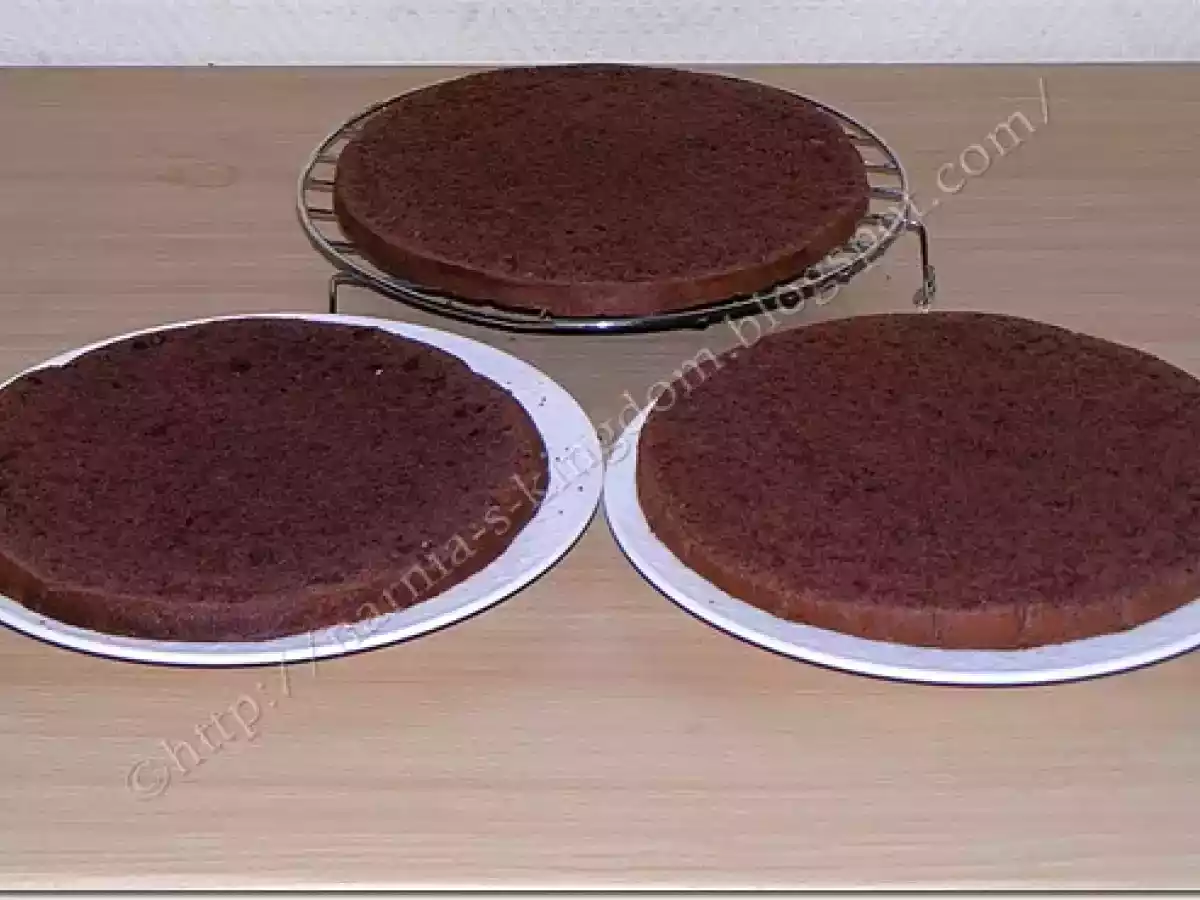 Tort Foret Noire ( Padurea Neagra) - poza 13