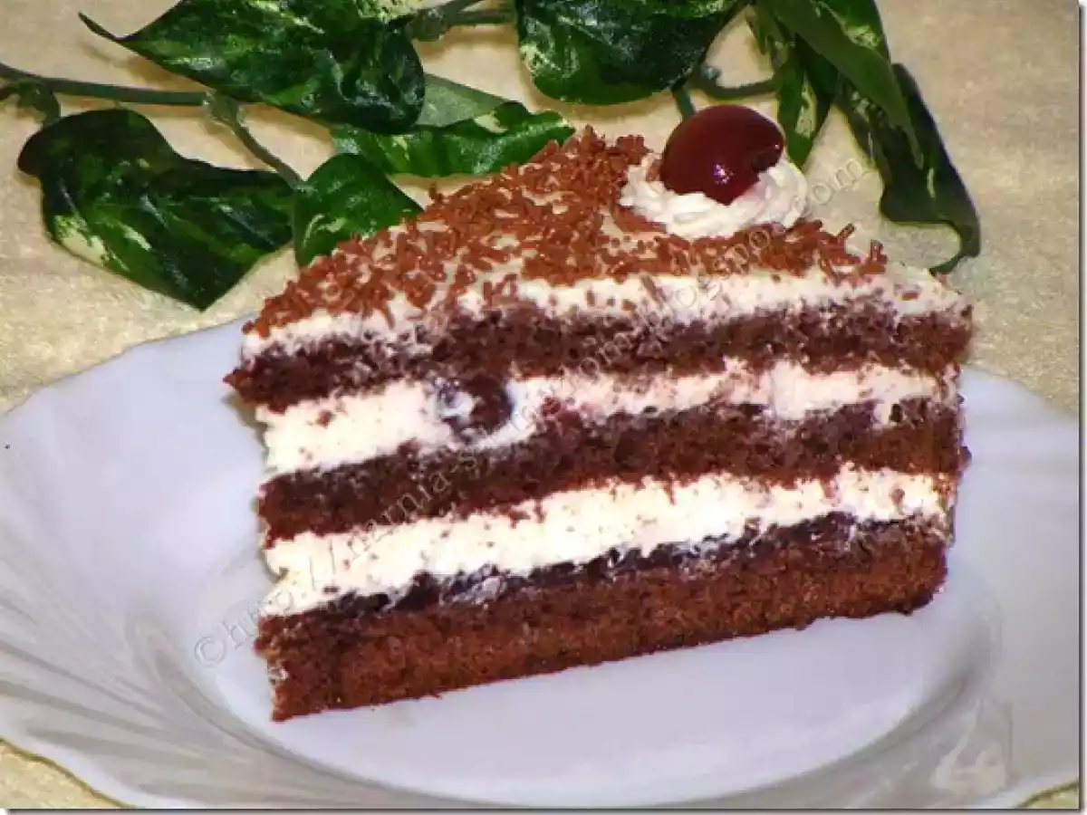 Tort Foret Noire ( Padurea Neagra) - poza 17