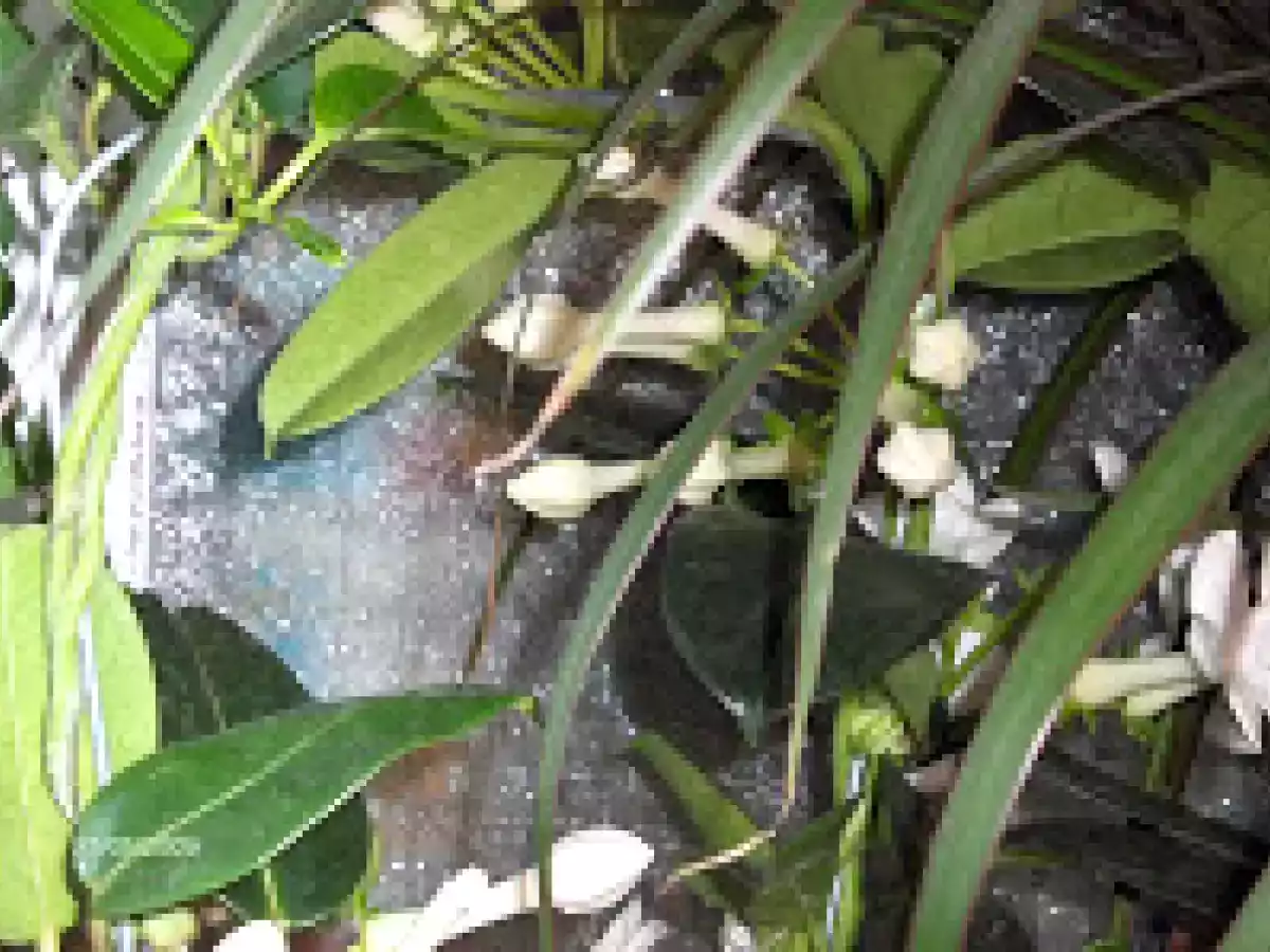 Tort spirala cu ananas - poza 4