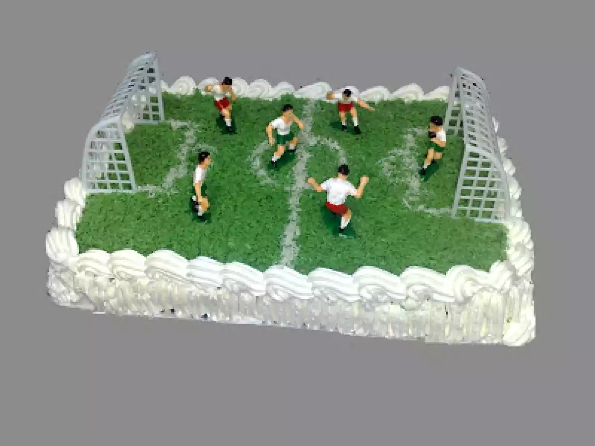Tort teren de fotbal - poza 2